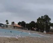 bain du nouvel an hiver doux toulon plage interdite aux chiens