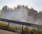 bilan feu de forêt flayosc prison ferme pyromane Carqueiranne