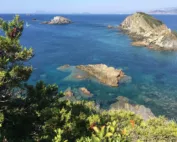 Plage du Var Méditerranée Verte