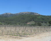 sécheresse Fréjus vignobles du var viticulteurs soutien sécheresse var communes alerte sécheresse var prolongation sécheresse var canicule 50 degrés plantes seches sécheresse var crise sécheresse Huveaune