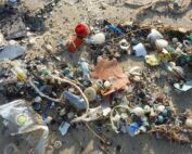 Déchets plastiques sur plages varoises Microplastiques alimentation santé Une tonne de déchets marins a été extraite des eaux de Golfe-Juan nettoyons le sud solidarité rave party 10 tonnes de déchets Semaine européenne de la réduction des déchets