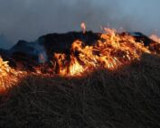 incendie Colomars condamnation incendie de caniers à la Londe financement feu de forêt