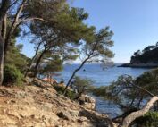 sentier littoral saint-cyr