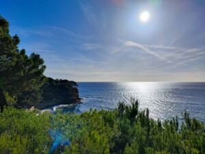 météo 29 août var dimanche estival var Jour de la Terre Record de chaleur printemps var météo de mercredi var dimanche 4 février var Météo 18 janvier var soleil var lundi 18 décembre météo soleil rafales nouveau record mondial mer pollution à la ciotat plage lumière la ciotat