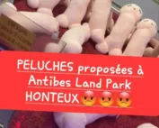 penis antibes land