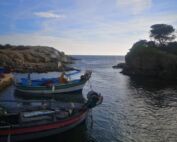 Réouverture Grand Gaou île du Gaou fermeture île gaou Frédéric Boccaletti Gaou