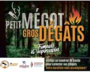 mégot dégâts