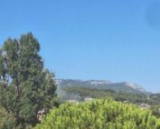 Incendie à Sanary-sur-Mer