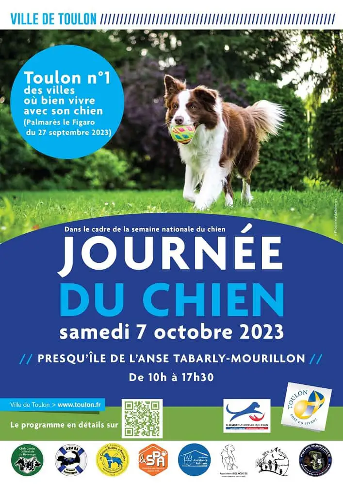 Toulon paradis chiens