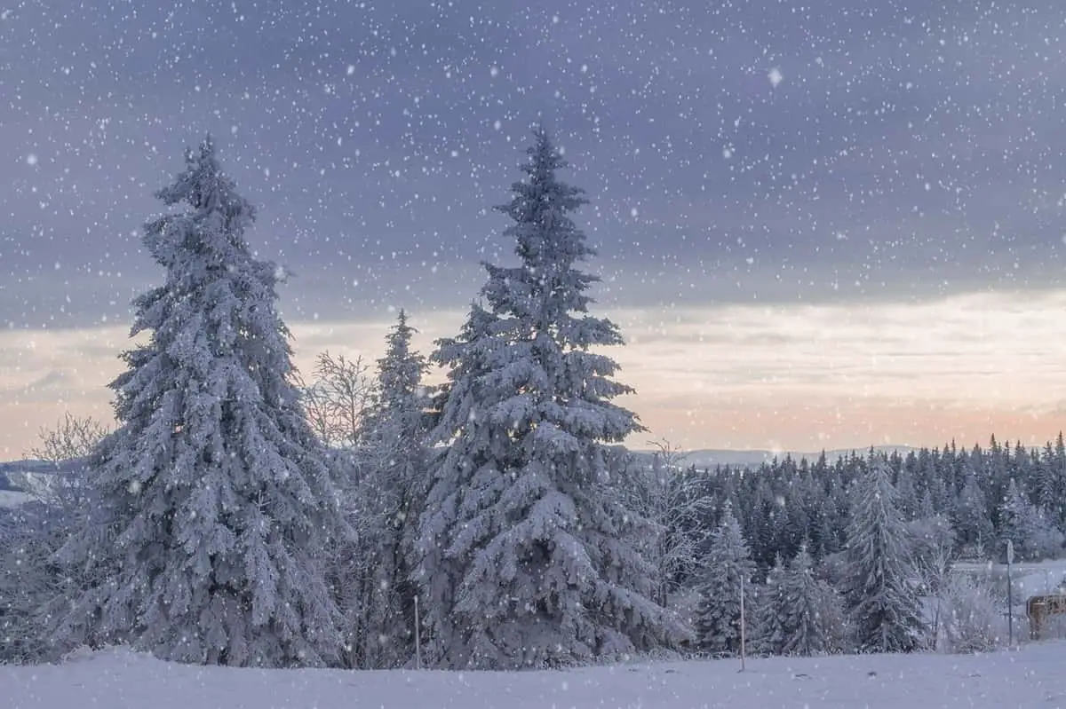 neige dans le Var