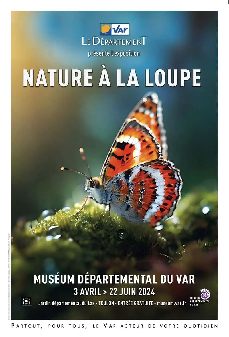 nature à la loupe