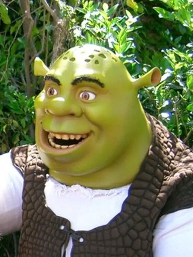 Les Varois expriment leur enthousiasme pour le retour de Shrek au cinéma, avec un cinquième film prévu pour 2026 et un spin-off dédié à l'Âne.