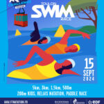 toulon swim race