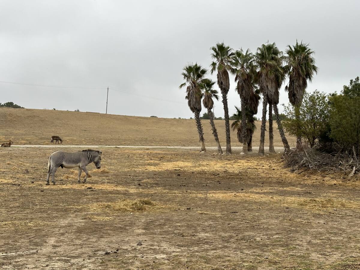 Réserve africaine de Sigean