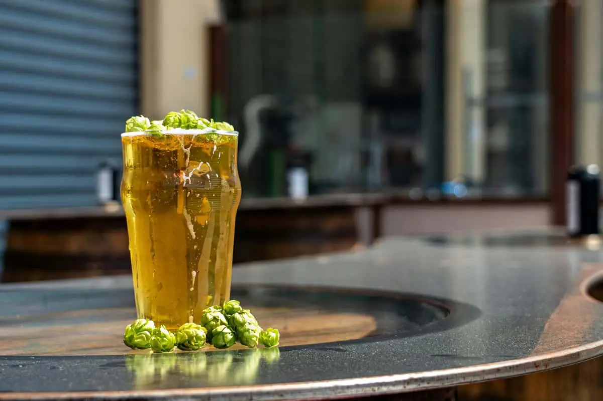 La ginger beer, nouvelle star des apéritifs dans le Var : pourquoi cette boisson sans alcool séduit les Varois ?