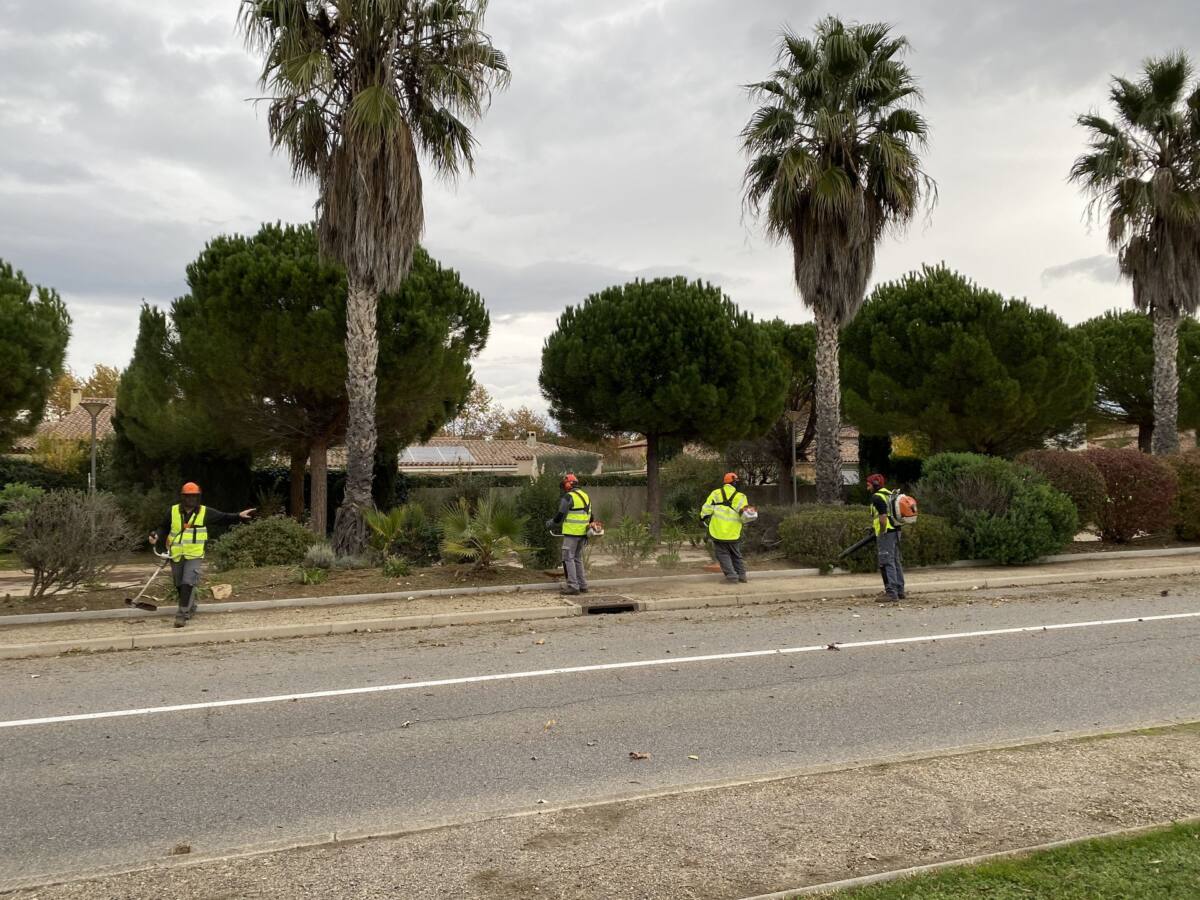 Travaux débroussaillage Saint-Cyr-sur-Mer Avenue de la Liberté