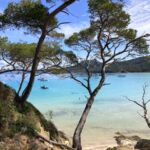 Plage Notre Dame Porquerolles