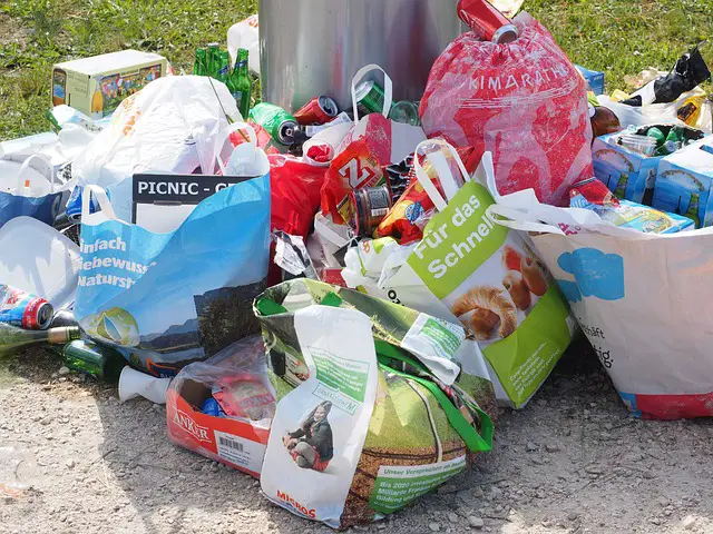 Déchets après Noël Var