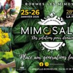 Bormes-les-Mimosas Mimosalia